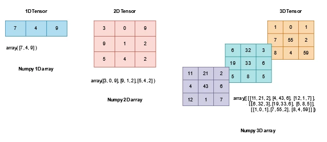 Tensor